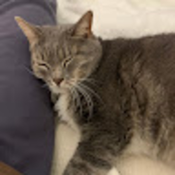 Meet the Posher Other - Meet your Posher, Josie